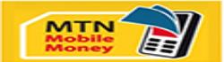 Partner logo - MTN